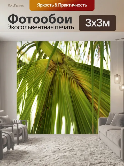 Фотообои Зеленый фон передней ладони