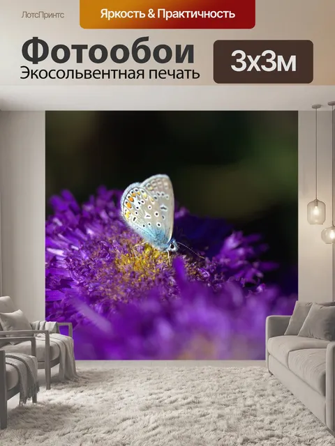 Фотообои Бабочка