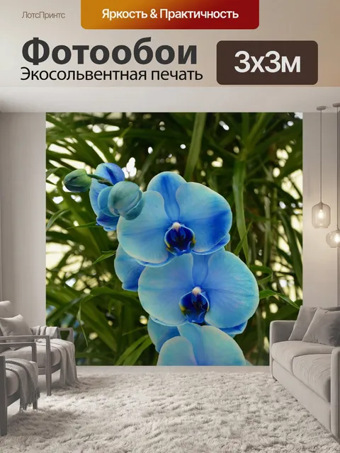 Фотообои Орхидея синяя