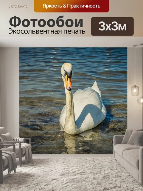 Фотообои Лебедь