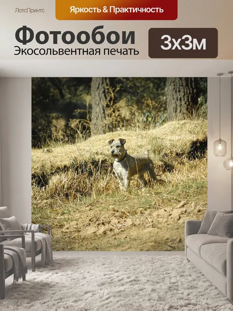 Фотообои Талисман