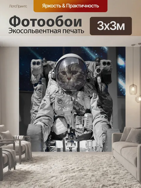 Фотообои Космонавт
