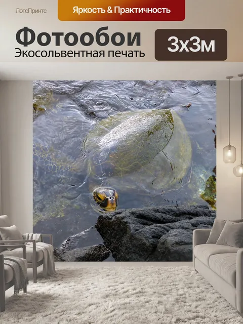 Фотообои Морская черепаха