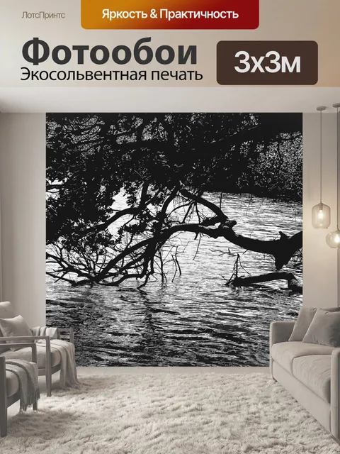 Фотообои черно-белые ветви над водой