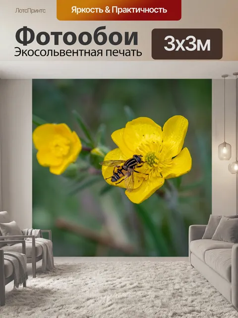 Фотообои Насекомое, цветок, лютик
