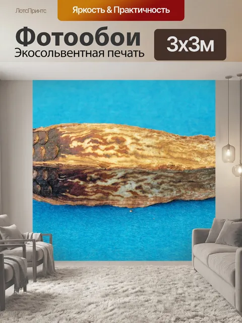 Фотообои Ядро из красного дерева