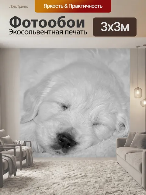Фотообои Собака щенок