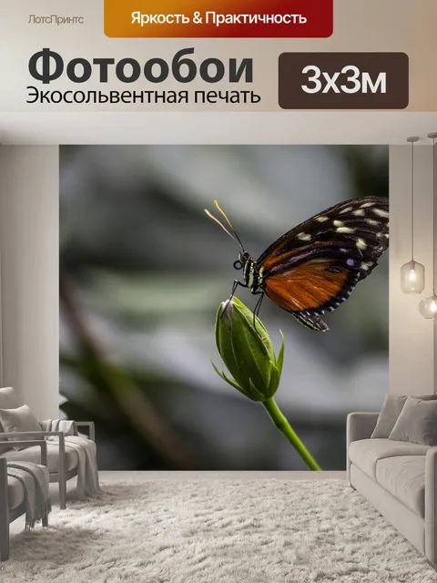 Фотообои Насекомое
