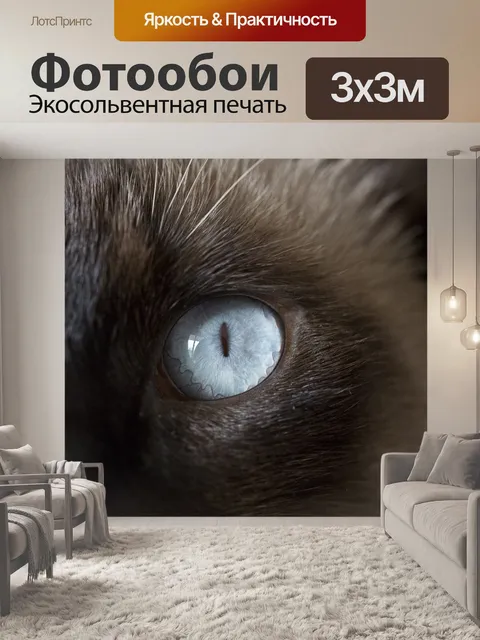 Фотообои Кошка