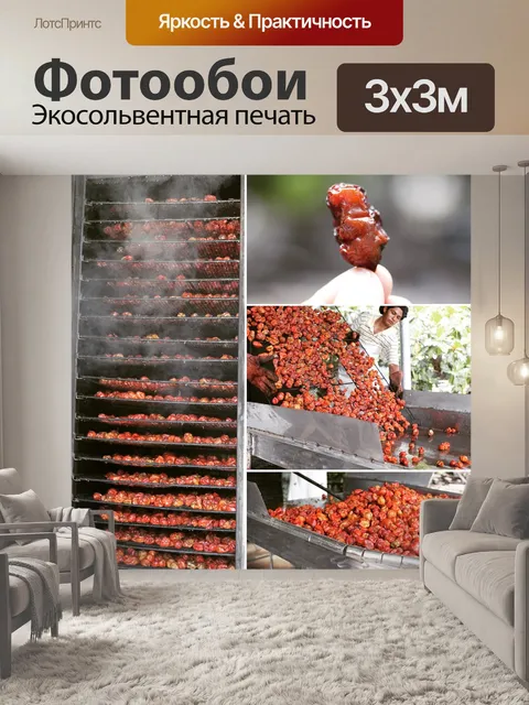 Фотообои Белиз