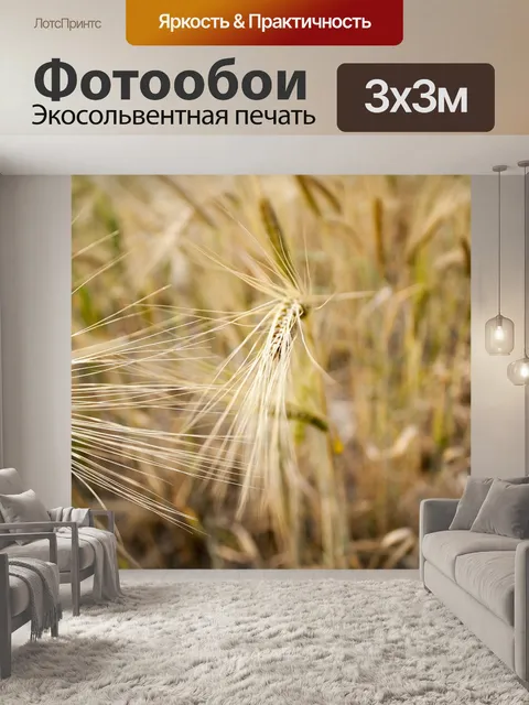 Фотообои Пшеница