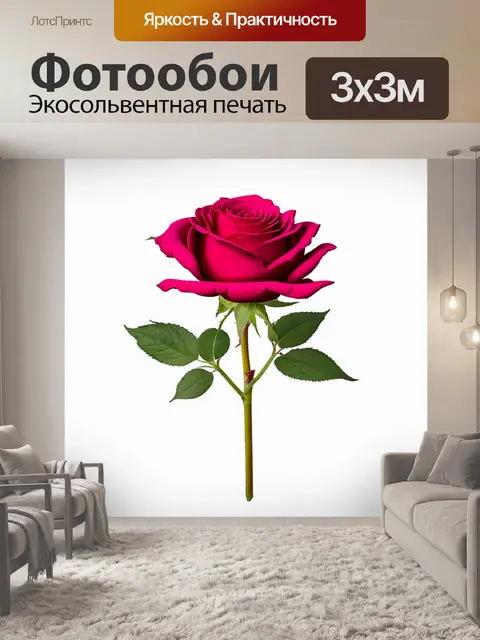 Фотообои розы в стиле плоский, композиция из крупных цветков на чистом белом фоне, смотрится стильно и свежо