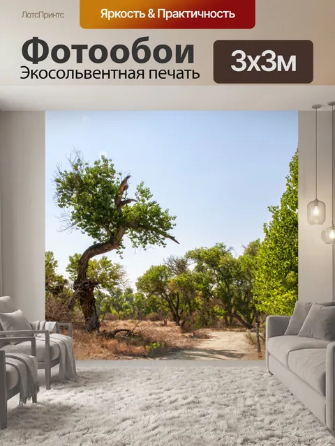 Фотообои Путь через старые деревья