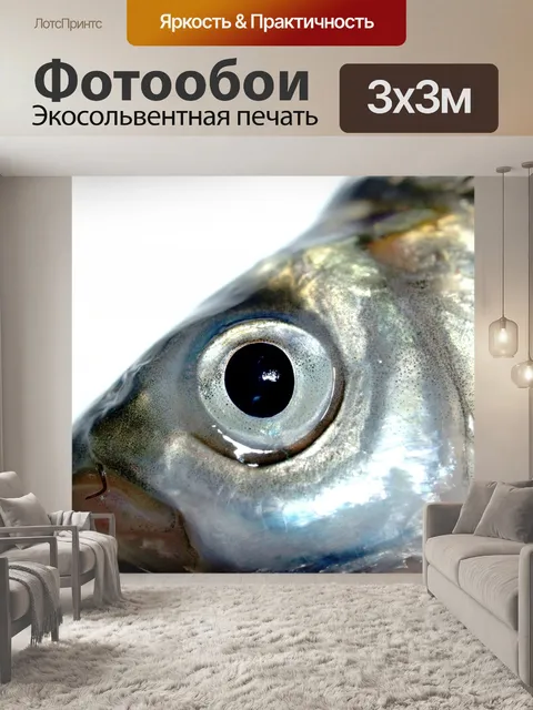 Фотообои Пресноводная рыба фото