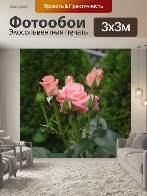 Фотообои Розы