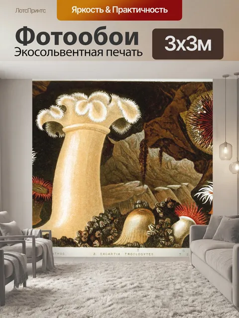 Фотообои Коралловые анемоны океанского рифа