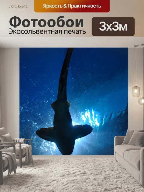 Фотообои Акула