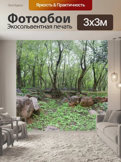 Фотообои лес 16