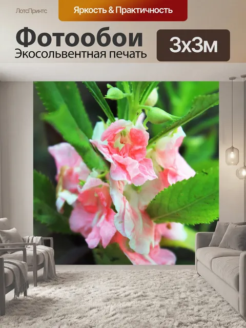 Фотообои Розовые цветы