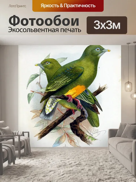 Фотообои Иллюстрация винтажного искусства птиц