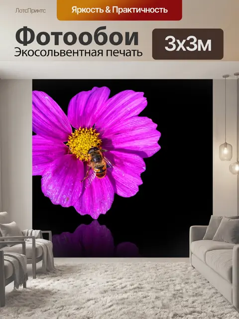 Фотообои Цветок на черном фоне