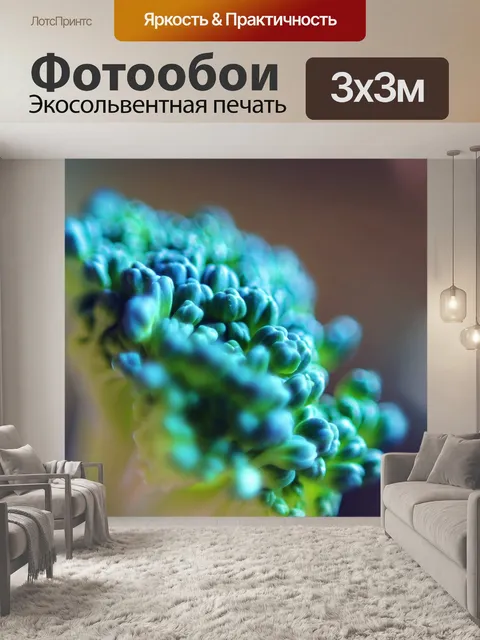 Фотообои Брокколи