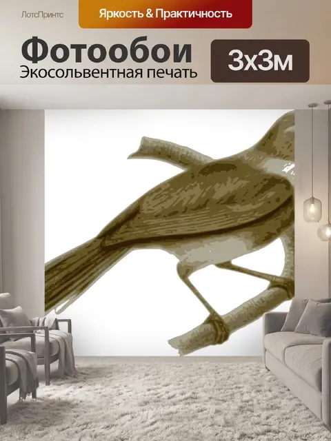 Фотообои Птица