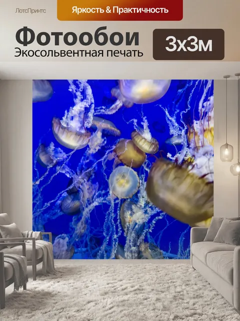 Фотообои Оранжевая Медуза Плавание