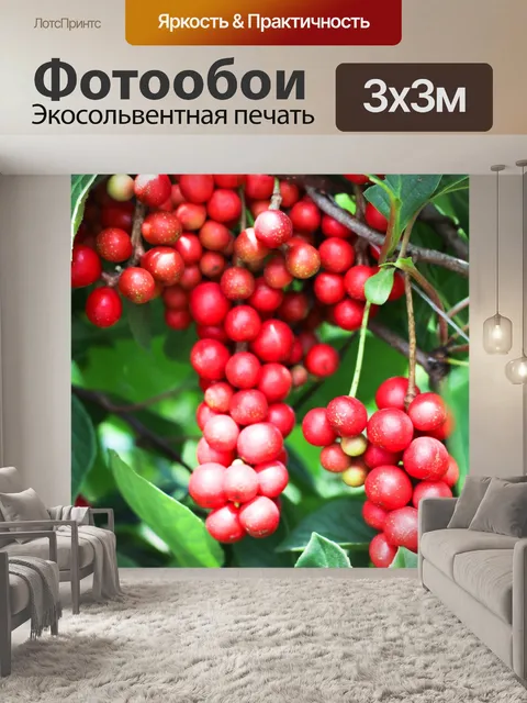 Фотообои Корея