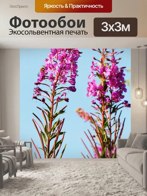 Фотообои Розовые цветы Blue Sky