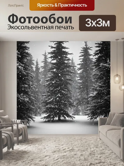 Фотообои черно-белый с изображением елового леса