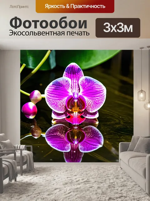 Фотообои орхидея с отражением в воде
