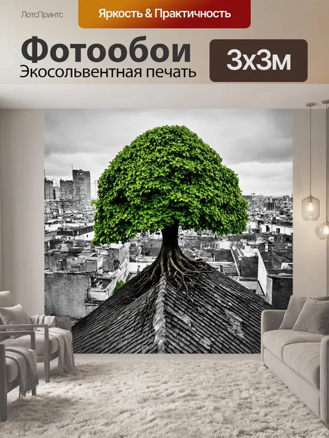 Фотообои на крышах старого города растет уникальное дерево, адаптировавшееся к городской среде