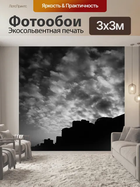 Фотообои силуэты Shoreline