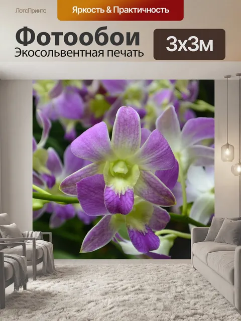 Фотообои Орхидеи