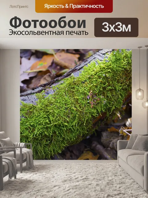 Фотообои Мосс