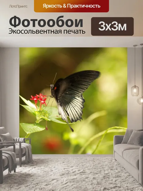 Фотообои Бабочка