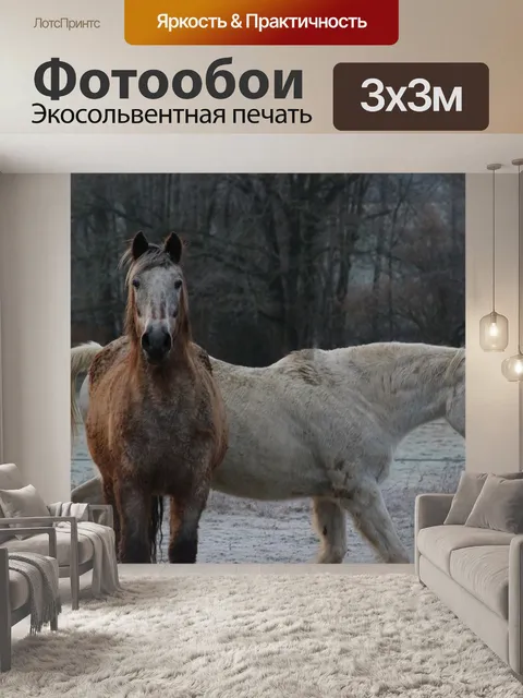 Фотообои Лошади