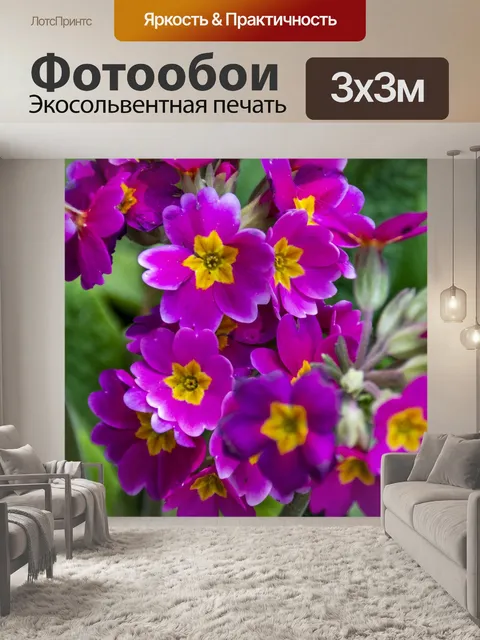 Фотообои цветы примулы