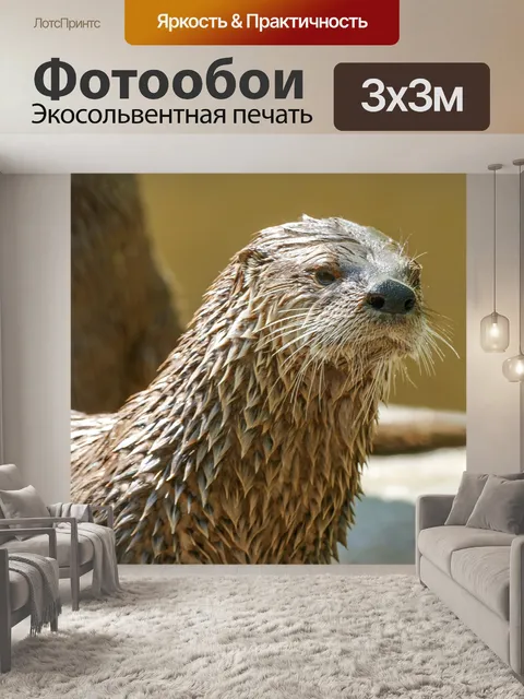 Фотообои Выдра