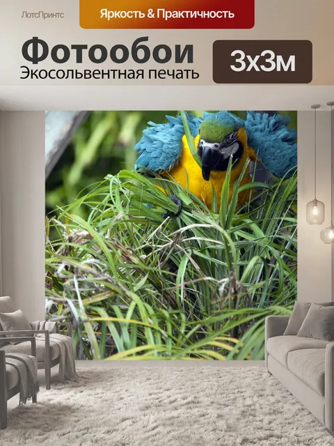 Фотообои Голубой попугай