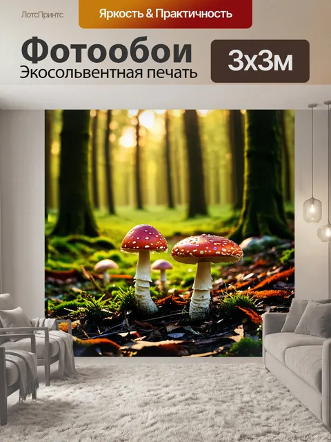 Фотообои поганки и красные мухоморы, растущие в лиственном лесу, освещенные мягким светом заходящего солнца