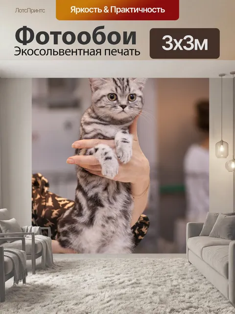 Фотообои Кошка
