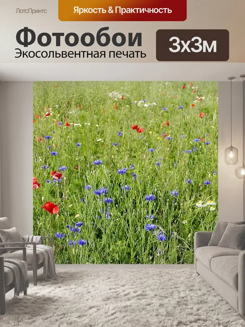 Фотообои Васильки