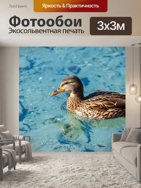 Фотообои Самка кряквы