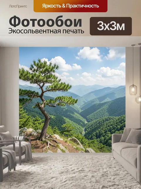 300 × 300 см · Экосольвентная печать