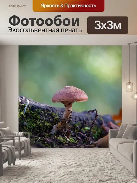 Фотообои Гриб, мох, осень