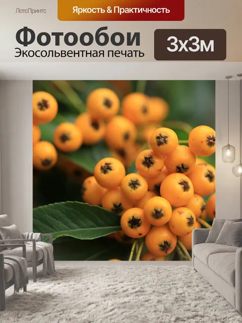 Фотообои Терновник