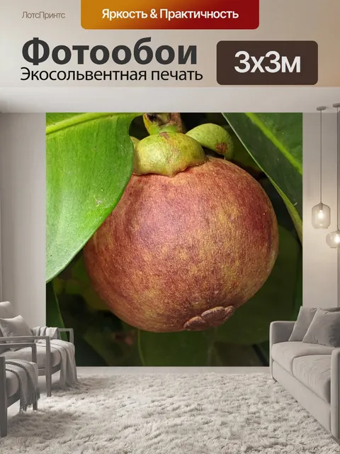 Фотообои Mangousteen