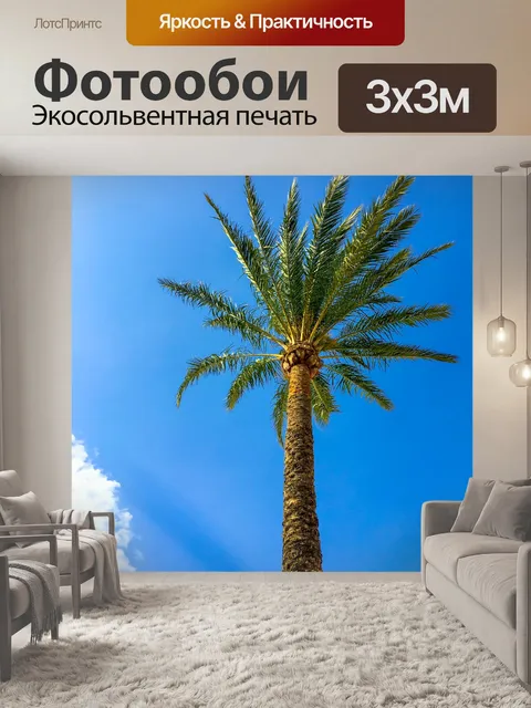 Фотообои Пальмы и голубое небо